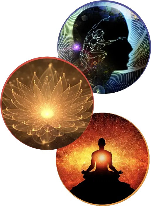 Integral Awakened Mind Home Mind People Image Png Hd Mind Png