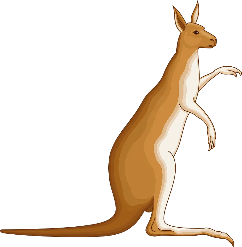 Clipart Australian Coat Of Arms Kangaroo Png Kangaroo Transparent