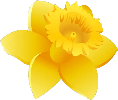 Download Hd Daffodils Clipart Wales Daffodil Icon Wales Png Daffodil Png