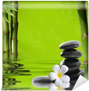Young Green Bamboo In The Background Boke Wall Mural U2022 Pixers We Live To Change Relaxing Music With Water Sounds Meditation Png Bamboo Transparent Background