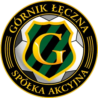 Gornik Leczna Sa Logo Vector Ai 23348 Kb Download Png Paypal Icon