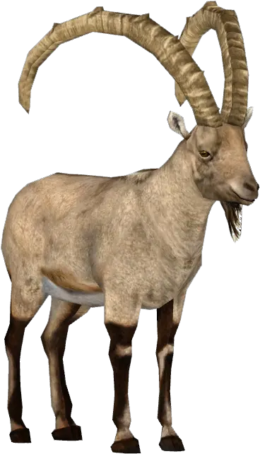 Ibex Clipart Argali Png Goat Transparent Background