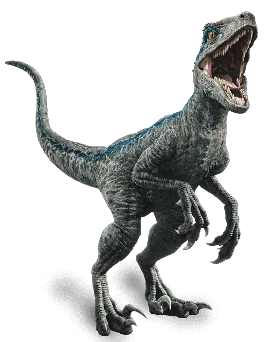 Fallen Kingdom Blue The Velociraptor By Velociraptor Blue Png Velociraptor Png