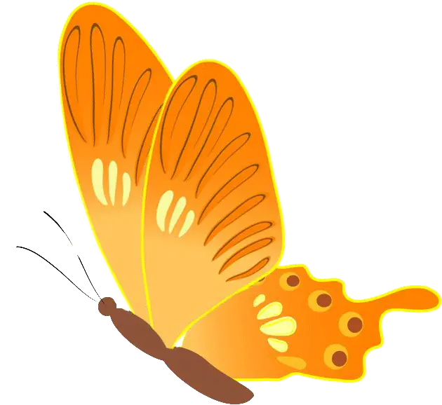 Aesthetic Butterfly Gif Gif Clip Art Butterfly Png Butterfly Gif Transparent png