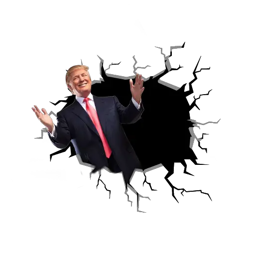 Download Hd Ladies Room Afro Png Transparent Afro Silhouette Afro Png