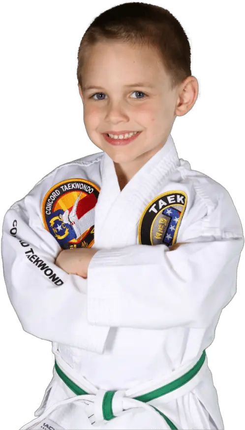 Download Taekwondo Classes Boy Png Karate Png