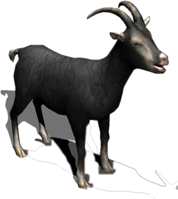 Download Black Goat Horns Milk Meat Goat Png Goat Horns Png