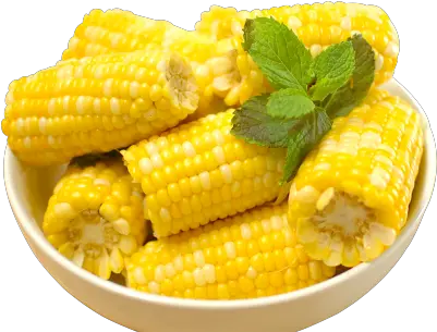 Corn Png And Vectors For Free Download Hd Corn Corn Stalk Png