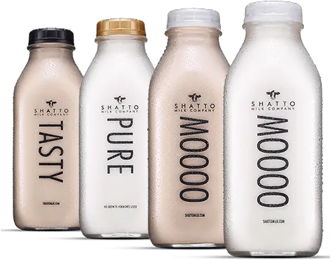 Shatto Milk Case Study Signal Theory Fresh Png Got Milk Logo