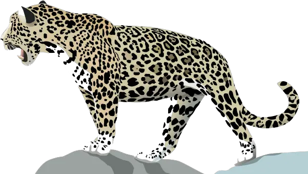 Download Jaguar Png Photo Cartoon Jaguar Png Jaguar Png