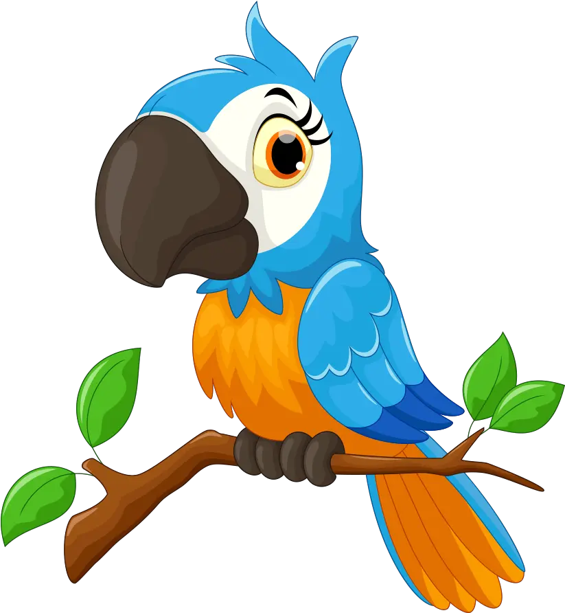 Parrot Drawing Free Download Parrot Bird Cartoon Png Parrot Transparent