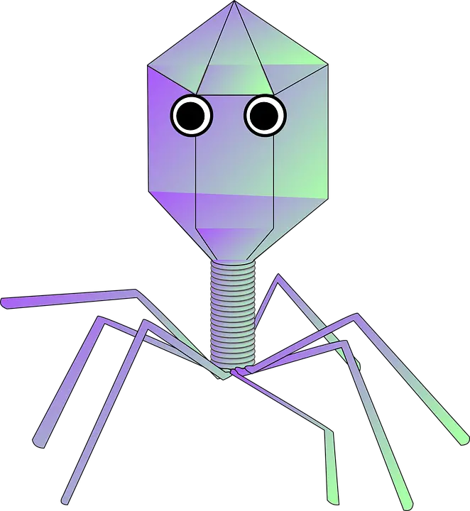 Virus Png Clipart Virus Clipart Virus Png