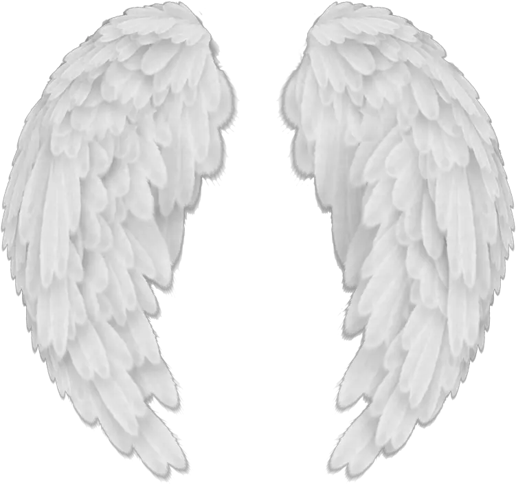 White Angel Wings Png 45145 Png Images Pngio Transparent Background Angel Wings Png Wing Png