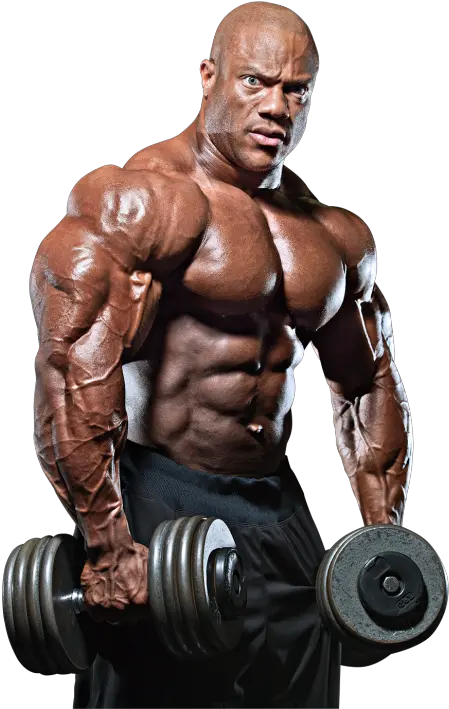 Bodybuilding Png Transparent Bodybuilder Png Body Builder Png