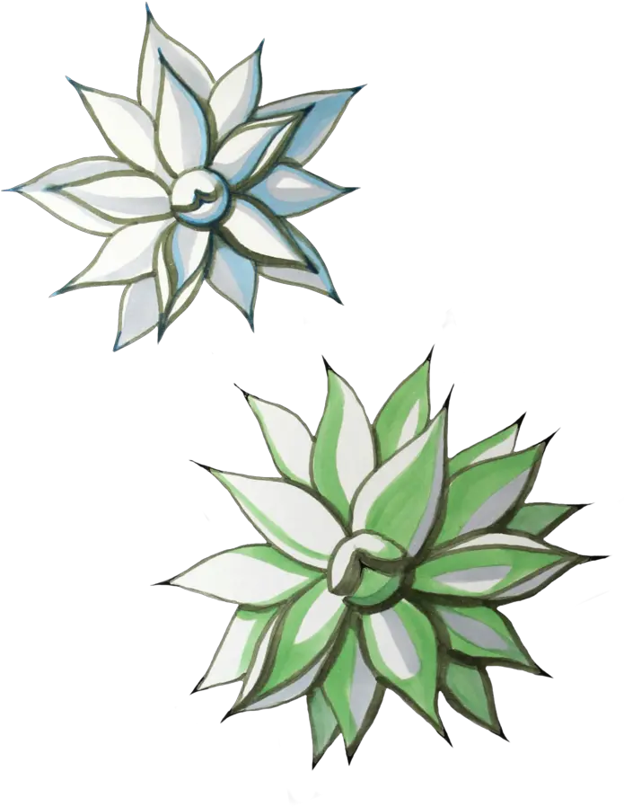 Pebble U2014 Natalie Harmon Illustration Png Agave Png