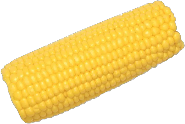 Corn Cob Psd Official Psds Corn On The Cob Png Corn Cob Png
