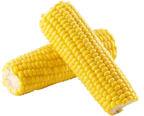 Corn Onthecob Chicken Cottage Corn In The Cob Transparent Png Corn Cob Png