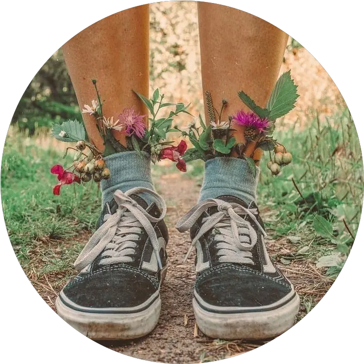 Vans Shoes Earthy Earth Kids 90s Sticker By Joslin Aesthetic Flowers In Shoes Png Vans Icon