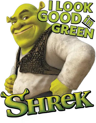 Shrek Pals Bath Towel Sons Of Gotham Shrek Forever After Png Shrek Face Transparent