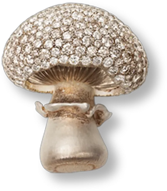 Mushrooms Hemmerle Agaricaceae Png Mushroom Transparent