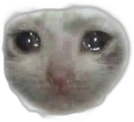 Catmeme Meme Cat Funny Png Sad Cat Transparent Funny Png