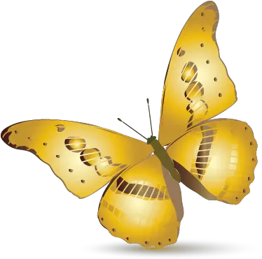 Simple Butterfly Logo Templates Butterfly Logo Design Free Png Butterfly Logos png