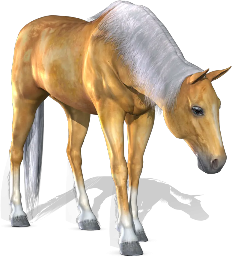 3d Horse Png 3 3d Horse Png Mustang Horse Png