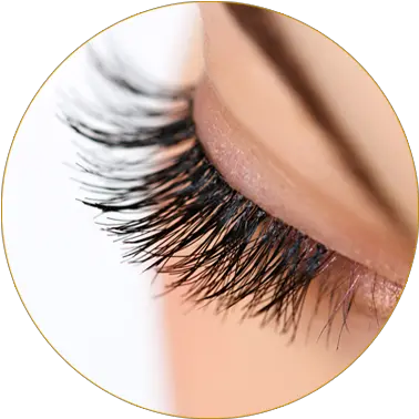 Fake Lashes Transparent Png Clipart Eyelash Lashes Png