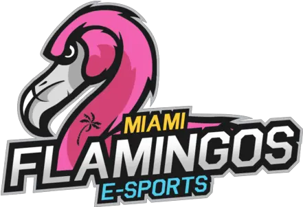 Doral Flamingos E Flamingos Team Png Flamingo Logo