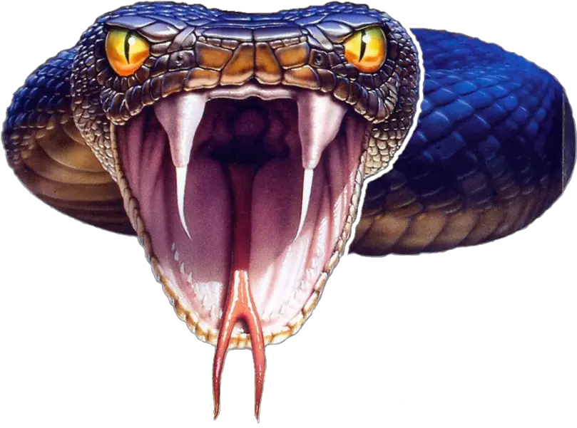 Black Mamba Transparent Background Png Mart Black Mamba Snake Png Snake Transparent Background