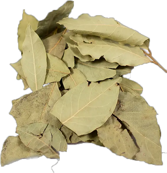 Bay Leaves Whole Dried Dried Bay Leaves Png Laurel Leaves Png