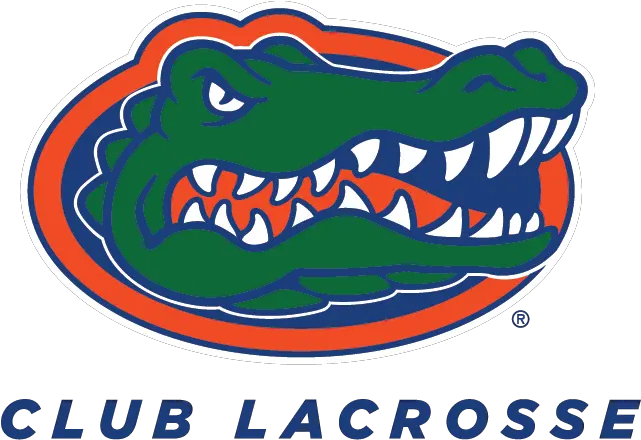 Library Of Football Gator Picture Stock Png Florida Gators Basketball Alligator Transparent Background