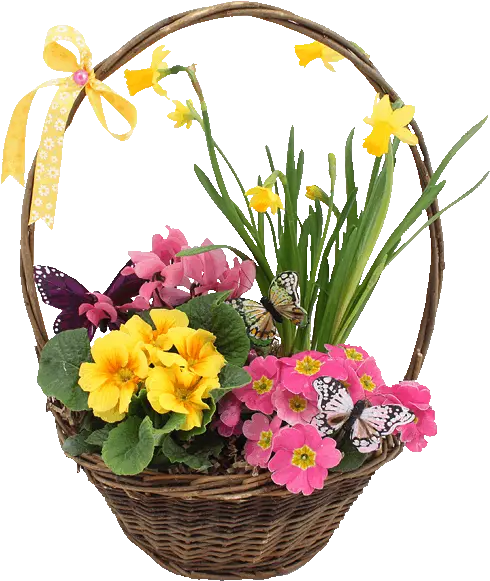 Spring Basket Of Flowers Pictures Photos And Images For Gif Basket Of Flowers Png Flowers Transparent Tumblr
