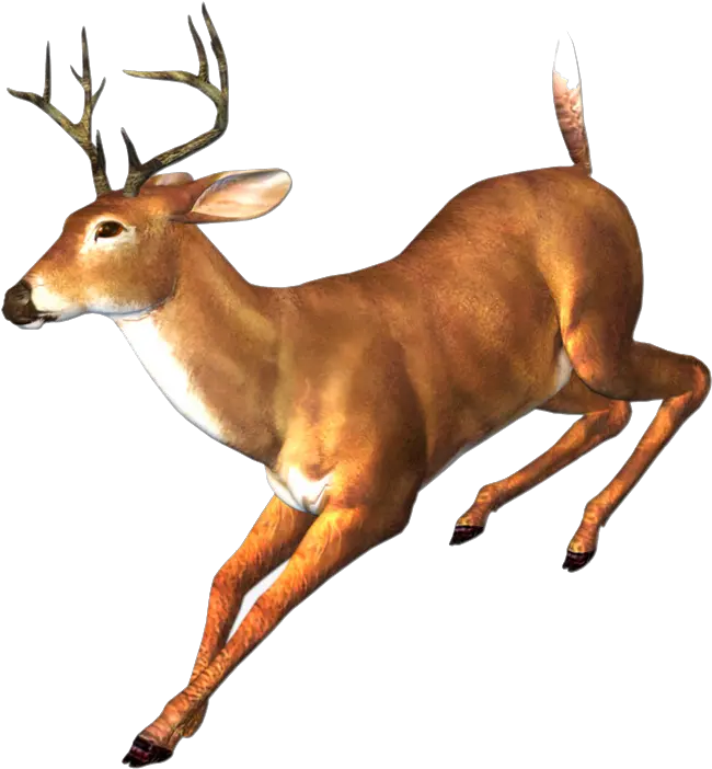 Transparent Png Deer Running Transparent Deer Running Png Deer Transparent