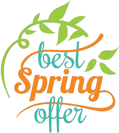 Best Spring Offer Label Transparent Png U0026 Svg Vector File Calligraphy Special Png