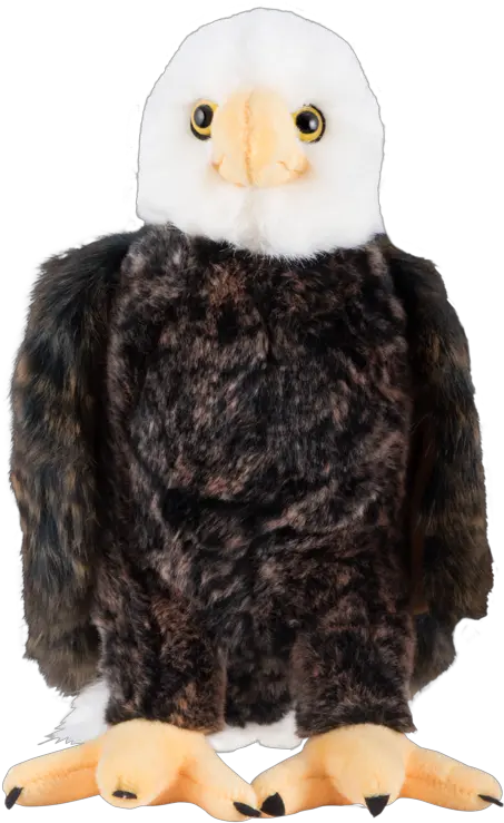 Bald Eagle Plush Eagle Stuffed Animal Transparent Background Png Eagle Transparent