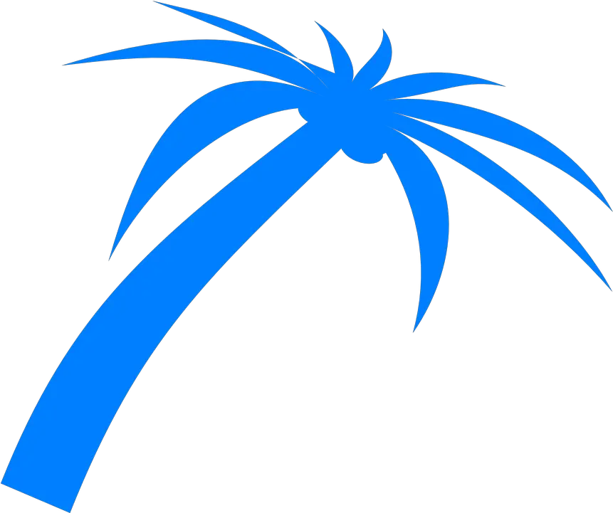 Palm Tree Fronds Free Vector Graphic On Pixabay Palm Leaves Vectors Pngs Palm Png