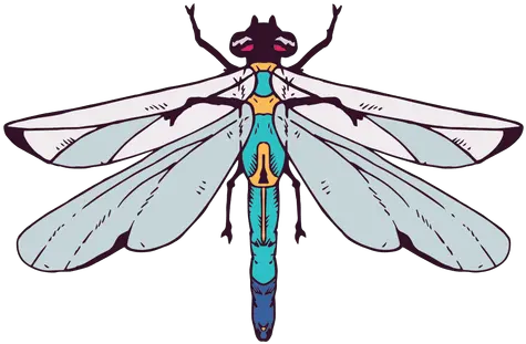 Transparent Png Dragonfly Png Vector Dragonfly Png