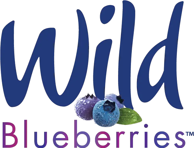 Wild Blueberry Festival Help Weu0027ve Got Kids Wild Blueberries Logo Png Kids Wb Logo