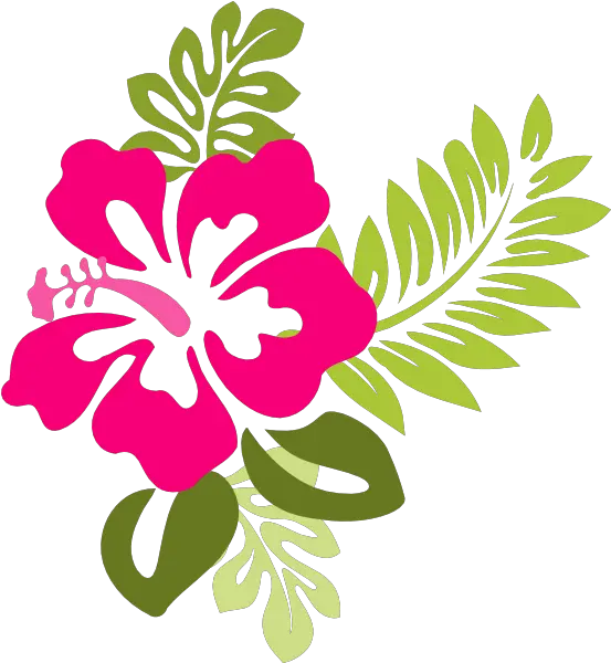 Pink Hibiscus Border Transparent U0026 Png Clipart Free Download Pink Hibiscus Clipart Hibiscus Flower Png