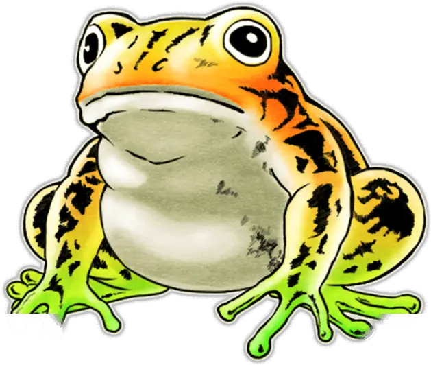 Download Unit Frog Big White Frog Full Size Png Image Frogs Frog Png