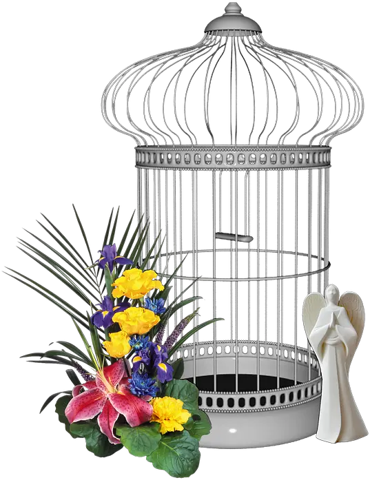 Silver Cage Png Image Free Download Jr Cage Png