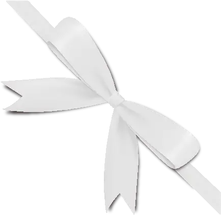 White Ribbon Bow Transparent Png White Gift Bow Vector White Bow Png