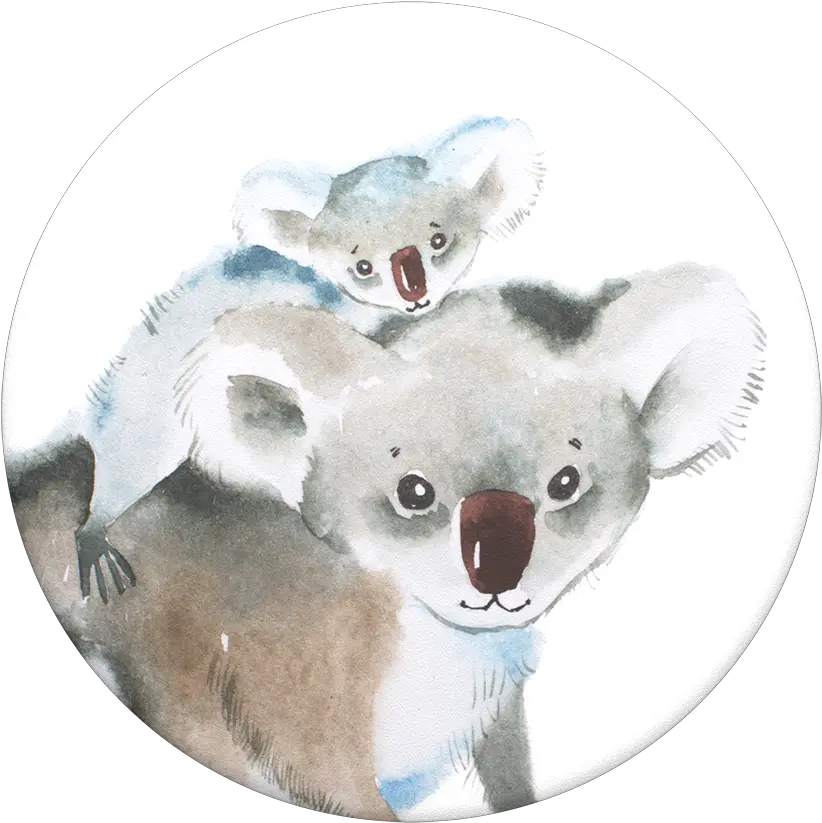 Koala Joey Koala Mit Kind Gezeichnet Png Koala Transparent