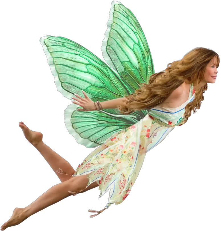 Transparent Background Realistic Fairy Transparent Background Fairy Png Tooth Fairy Png