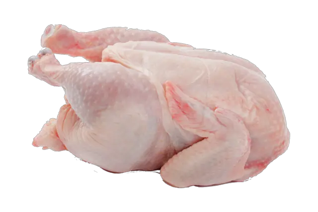 Chicken Png Pic