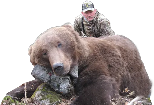 Alaska Hunting Trips Brown Bear Black Bear And Moose Transparent Png Bear Hunting Black Bear Png