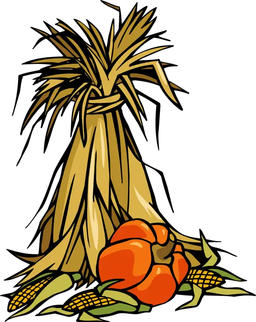 Corn Stalk Bundle Png Transparent Fall Corn Stalks Clipart Corn Clipart Png