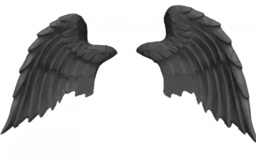 Bird Angels Wings Png Transparent Photo Image Free Pankh Png Wings Transparent