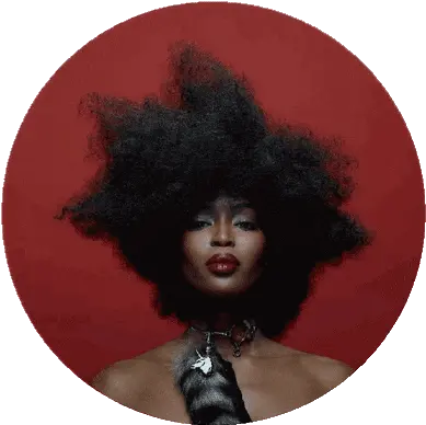 Top Afro Hair Stickers For Android U0026 Ios Gfycat Painting Png Afro Transparent